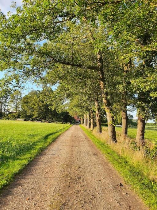 Leuk Boerderijtje Op Prachtige Plek, Nabij Natuurgebied Ruurlo Exterior foto