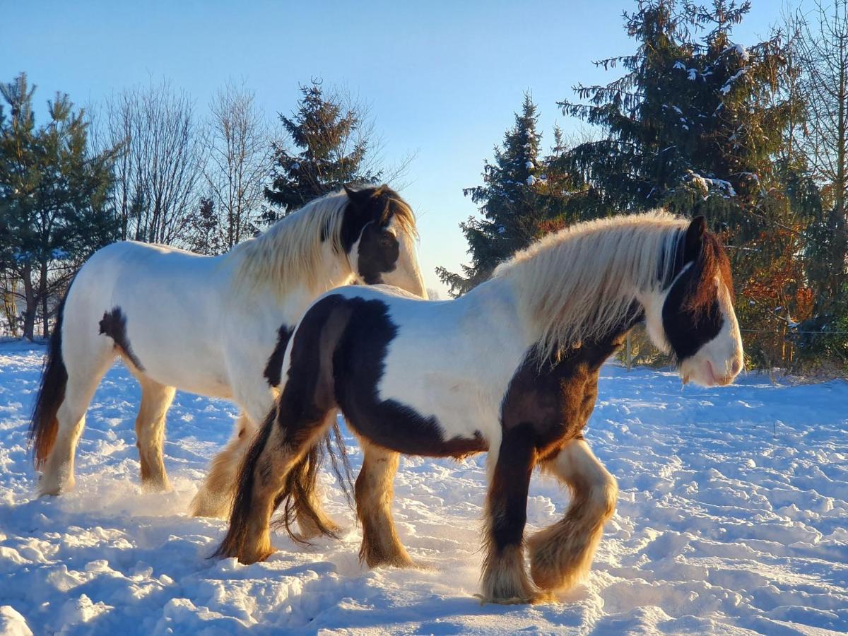Leuk Boerderijtje Op Prachtige Plek, Nabij Natuurgebied Ruurlo Exterior foto