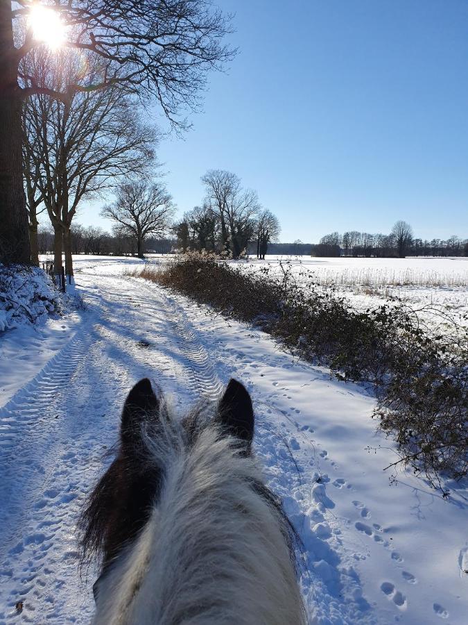 Leuk Boerderijtje Op Prachtige Plek, Nabij Natuurgebied Ruurlo Exterior foto