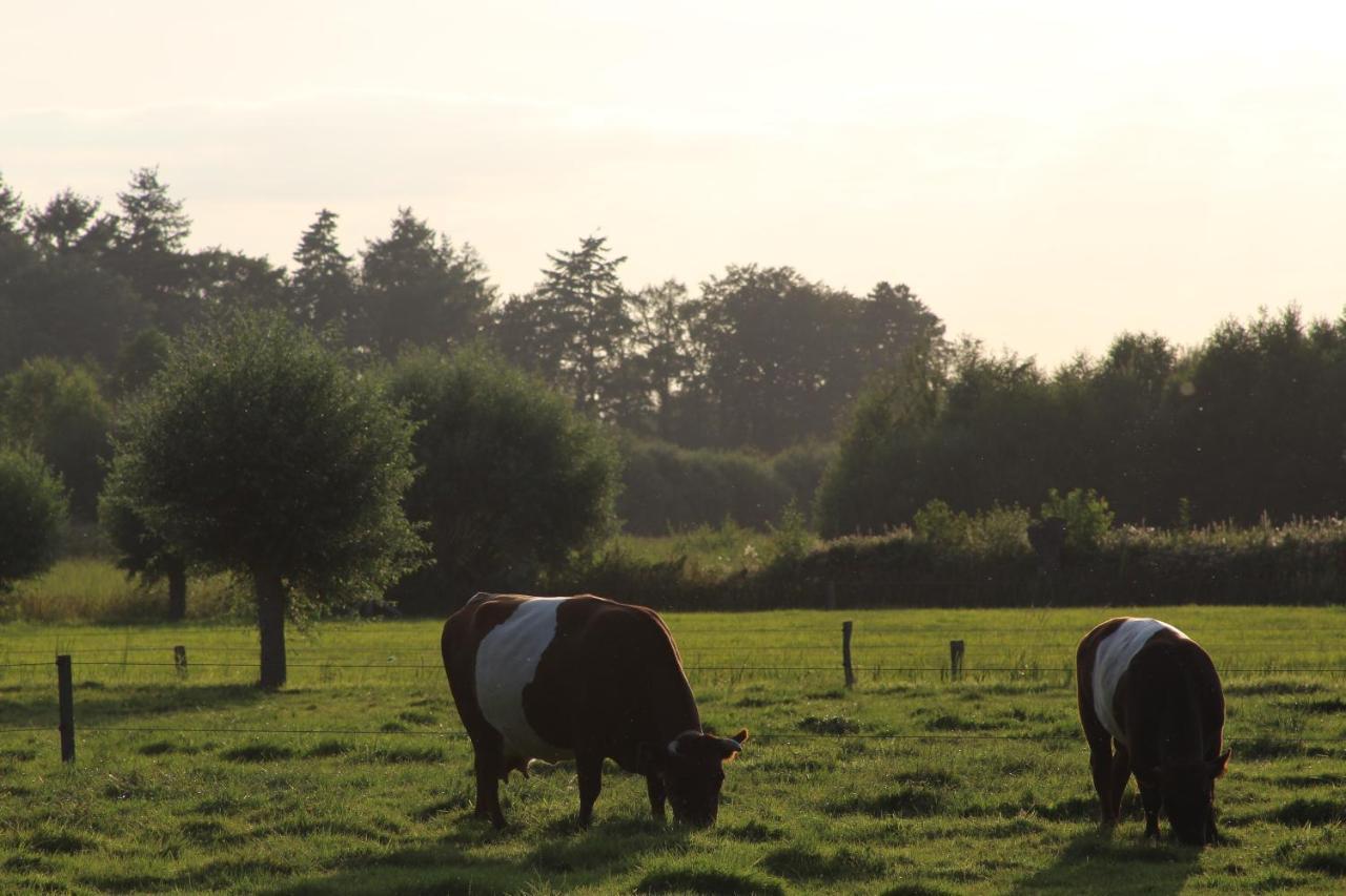 Leuk Boerderijtje Op Prachtige Plek, Nabij Natuurgebied Ruurlo Exterior foto
